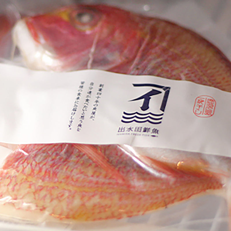 【出水田鮮魚　干物セットA】用ギフトカード