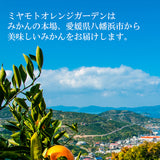 【「ミヤモトオレンジガーデン」みかんジュース・みかん寒天ゼリー　ギフトセット(2)】用ギフトカード